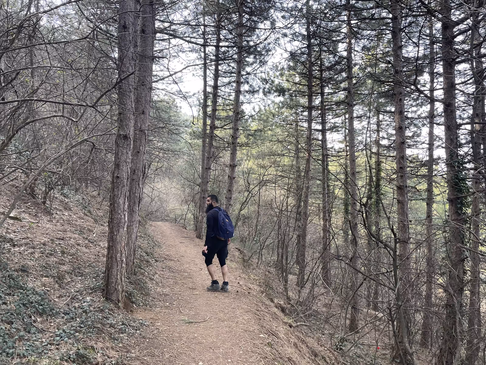 Me hiking in Bursa, Turkiye